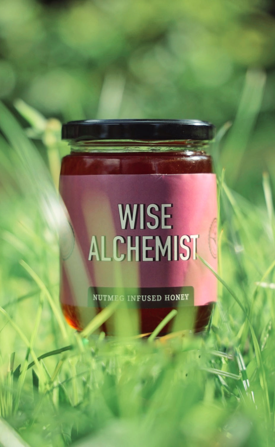 Wise Alchemist - Nutmeg Infused Honey