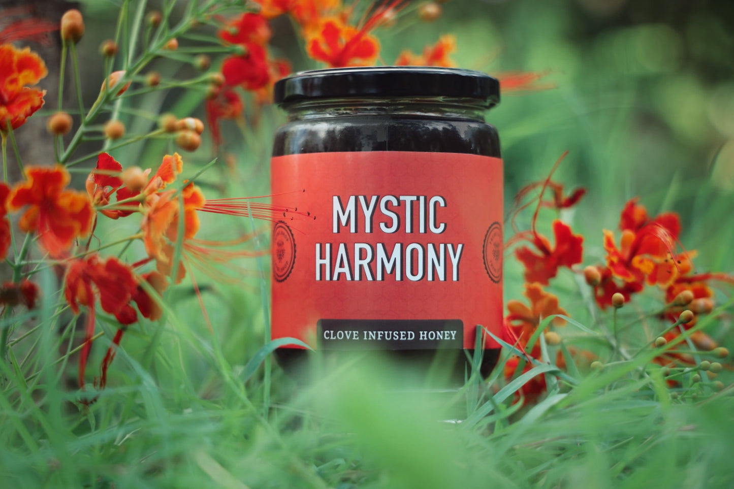 Mystic Harmony - Clove Infused Honey